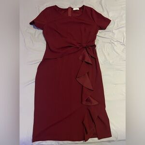 Elegant Burgundy Dress